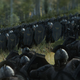 Illustration for article titled iLord Of The Rings/i Returns To iTotal War/i With Impressive New Mod